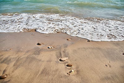 Rocks and shells in the sand at Caspersen Beach
